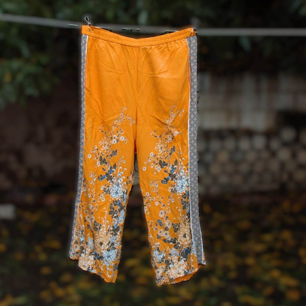 Ettitwa Anthropologie Tangerine Pants XL